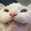 Namakem0n0